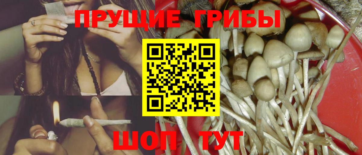 Галлюциногенные грибы Psilocybe  Вход с VPN  Галлюциногенные грибы ЛСД  Карталы 