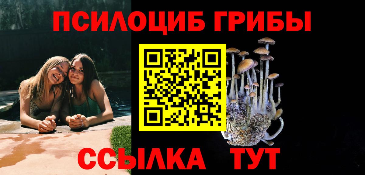 Псилоцибиновые грибы GOLDEN TEACHER Карталы